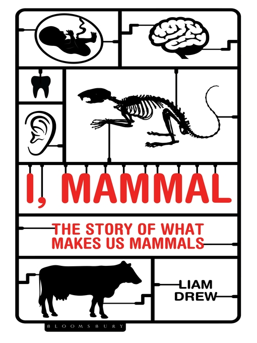 Title details for I, Mammal by Liam Drew - Available